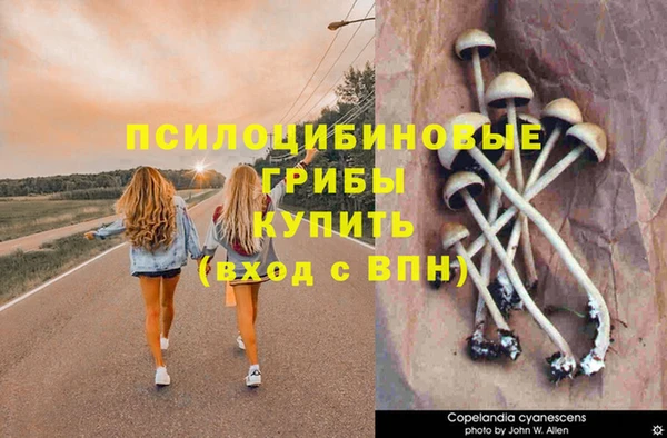 mix Верхний Тагил
