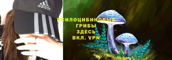 молекула духа Бугульма