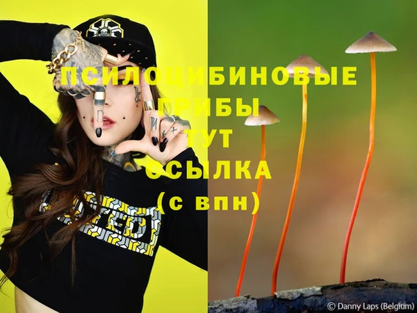 MDMA Premium VHQ Верея