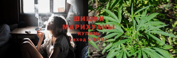 кокс Бородино