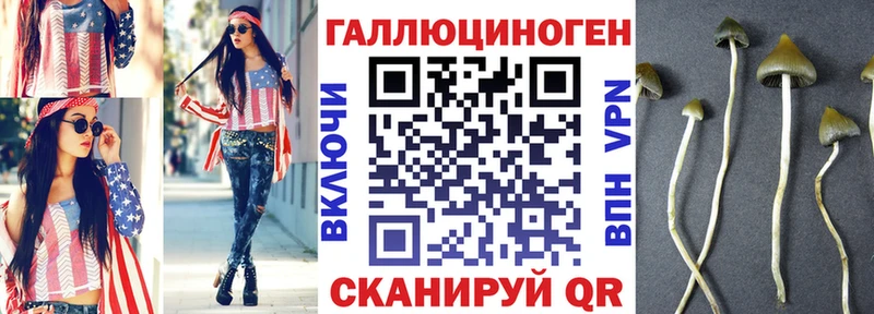 Галлюциногенные грибы прущие грибы  Энгельс 