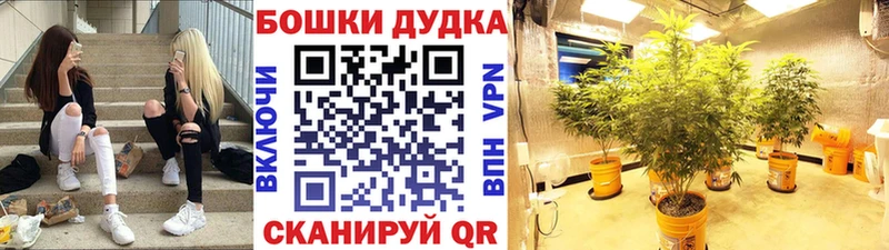 Каннабис план  Энгельс 